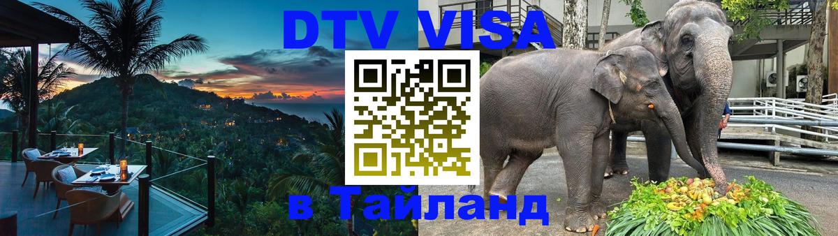 Сколько стоит DTV виза — актуальные цены, оформление даже без документов - Саратов  21.11.2025 